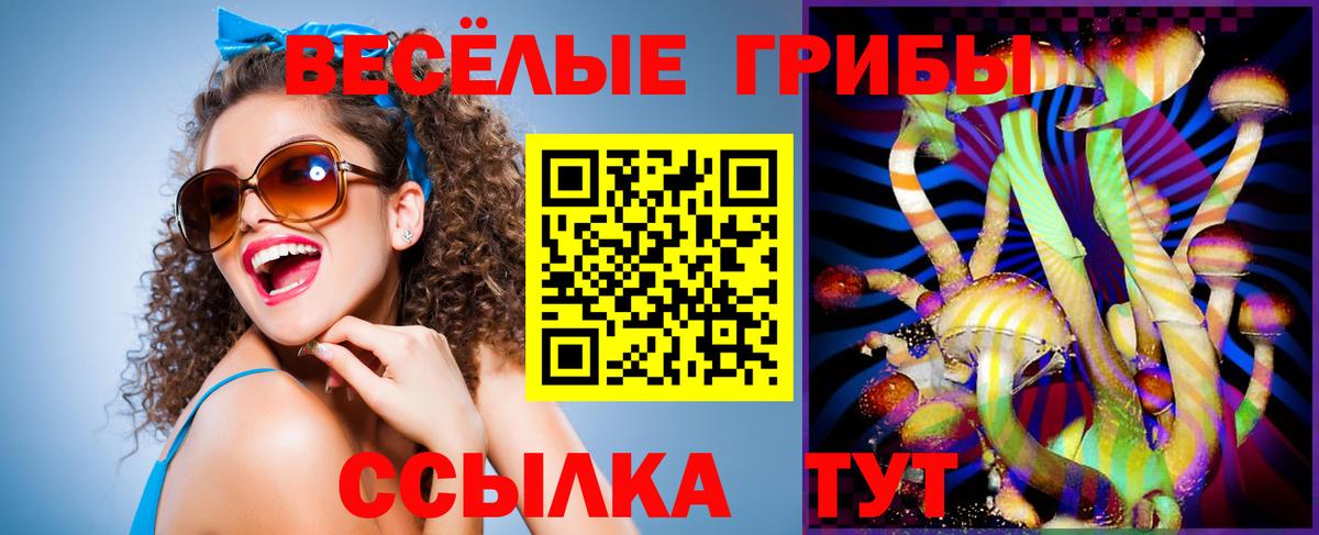 Галлюциногенные грибы Psilocybe  Галлюциногенные грибы мицелий  Вход с VPN  Мыски 